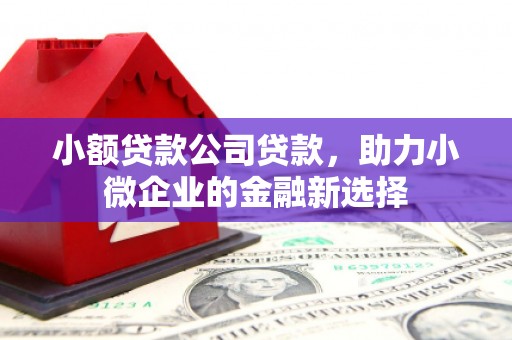德保小额贷款公司贷款，助力小微企业的金融新选择