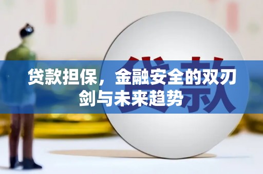 德保贷款担保，金融安全的双刃剑与未来趋势