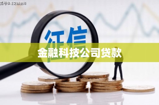 德保金融科技公司贷款