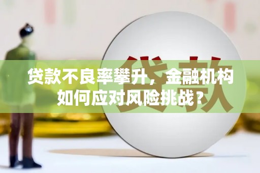德保贷款不良率攀升，金融机构如何应对风险挑战？