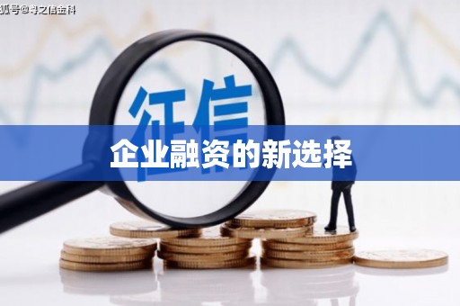 德保企业融资的新选择