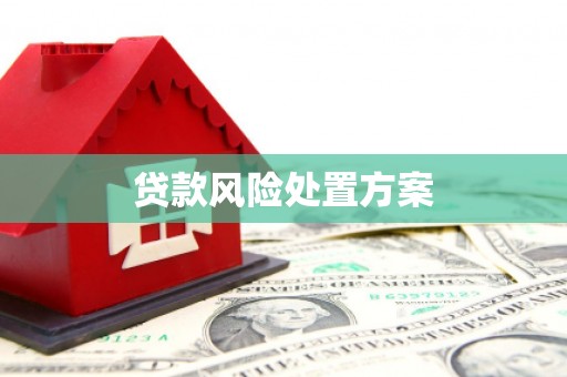 德保贷款风险处置方案
