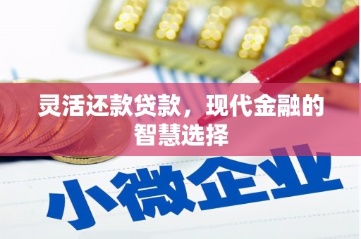 德保灵活还款贷款，现代金融的智慧选择