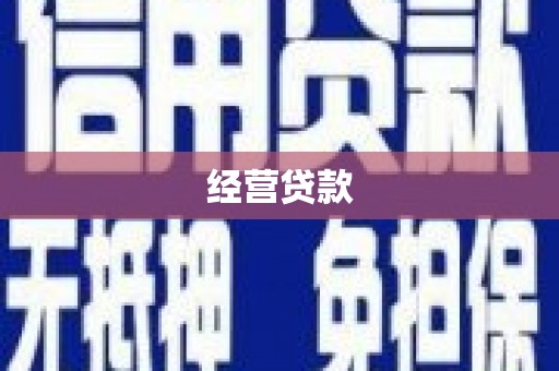 德保经营贷款