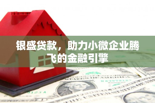 德保银盛贷款，助力小微企业腾飞的金融引擎