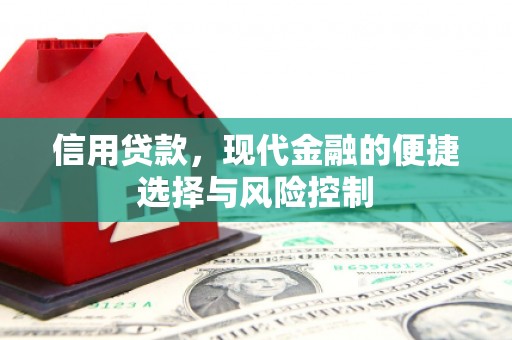德保信用贷款，现代金融的便捷选择与风险控制