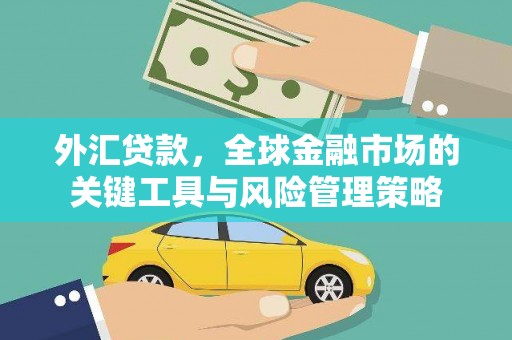 德保外汇贷款，全球金融市场的关键工具与风险管理策略