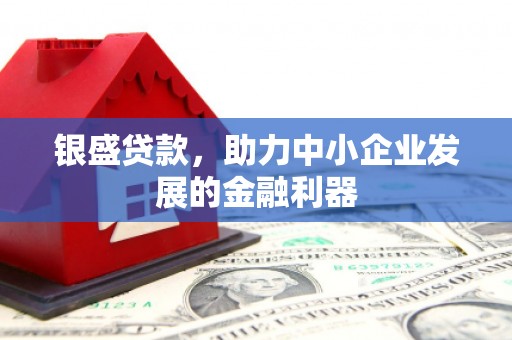 德保银盛贷款，助力中小企业发展的金融利器