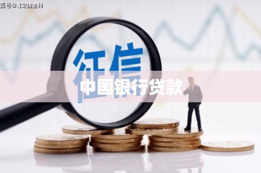 德保中国银行贷款