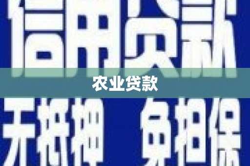 德保农业贷款