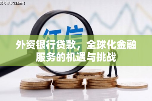 德保外资银行贷款，全球化金融服务的机遇与挑战