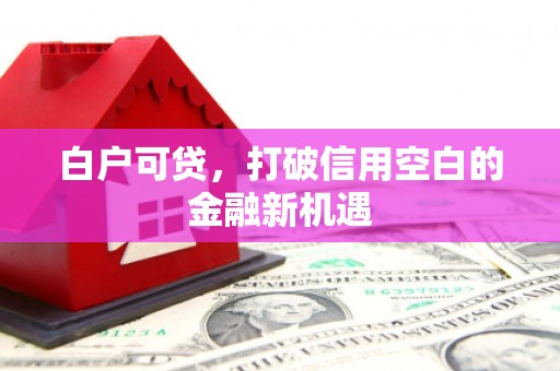 德保白户可贷，打破信用空白的金融新机遇