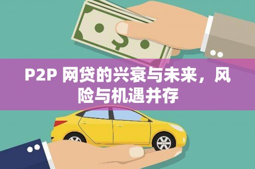 德保P2P 网贷的兴衰与未来，风险与机遇并存