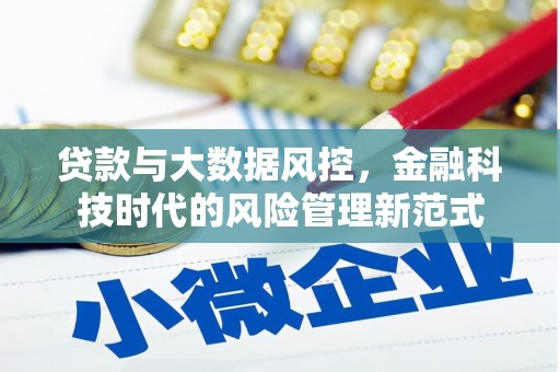 德保贷款与大数据风控，金融科技时代的风险管理新范式