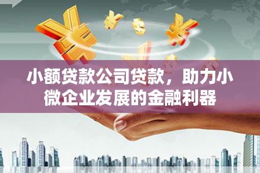 德保小额贷款公司贷款，助力小微企业发展的金融利器