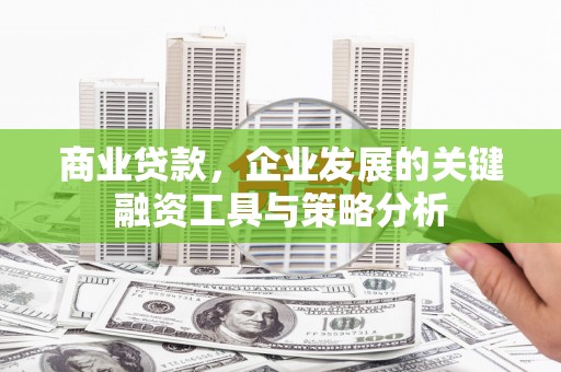 德保商业贷款，企业发展的关键融资工具与策略分析