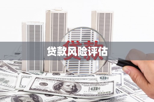 德保贷款风险评估