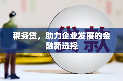 德保税务贷，助力企业发展的金融新选择