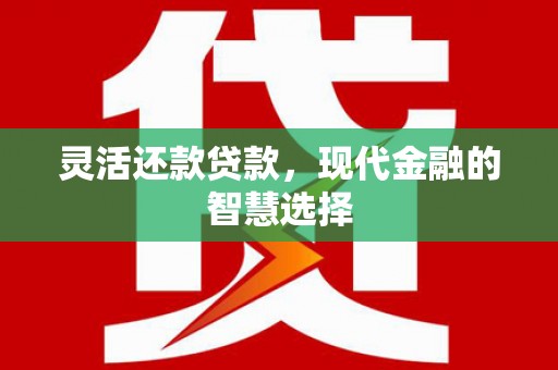 德保灵活还款贷款，现代金融的智慧选择