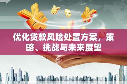 德保优化贷款风险处置方案，策略、挑战与未来展望