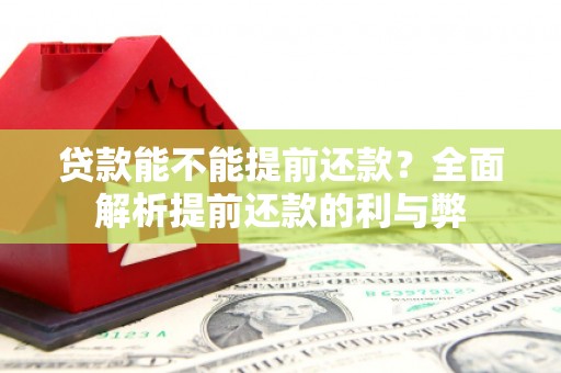 德保贷款能不能提前还款？全面解析提前还款的利与弊