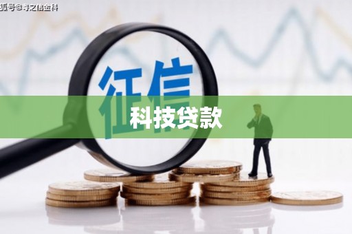 德保科技贷款