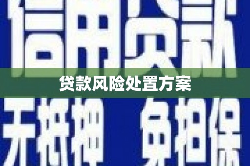 德保贷款风险处置方案
