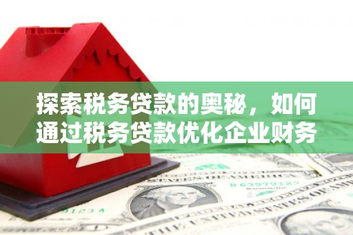 德保探索税务贷款的奥秘，如何通过税务贷款优化企业财务