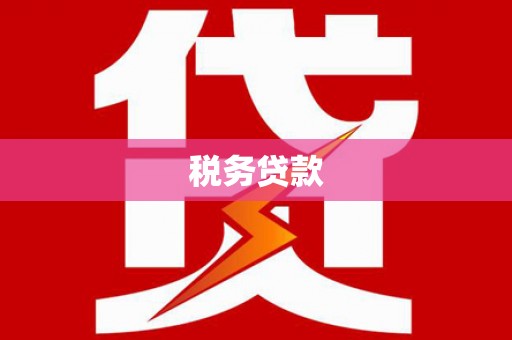 德保税务贷款
