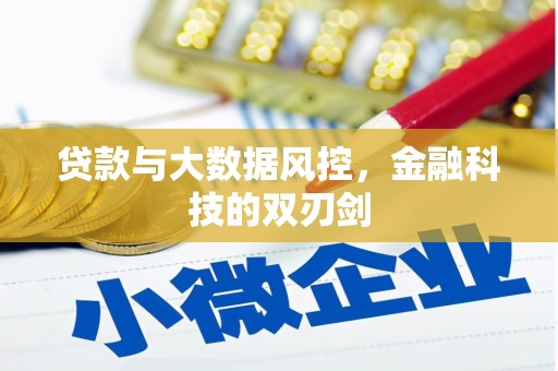 德保贷款与大数据风控，金融科技的双刃剑