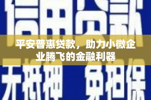 德保平安普惠贷款，助力小微企业腾飞的金融利器