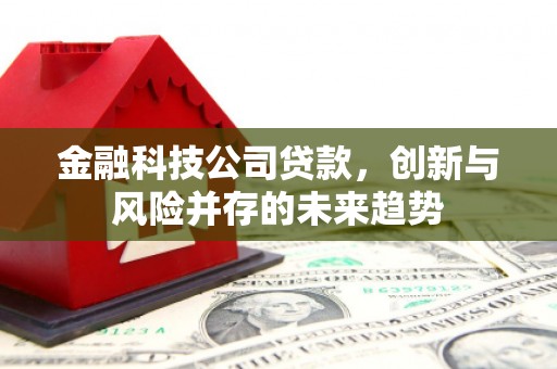 德保金融科技公司贷款，创新与风险并存的未来趋势