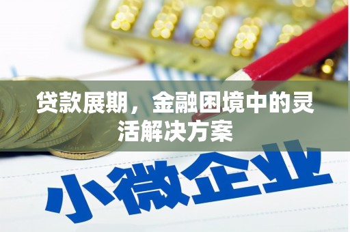 德保贷款展期，金融困境中的灵活解决方案