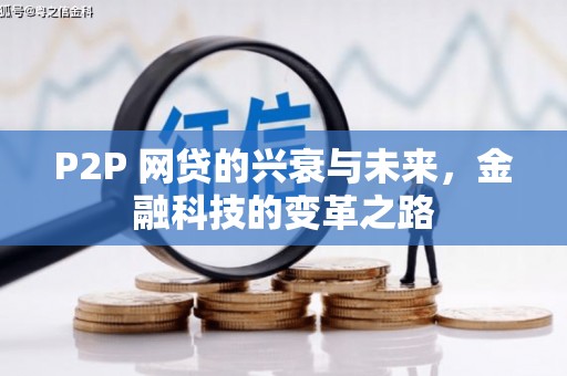 德保P2P 网贷的兴衰与未来，金融科技的变革之路