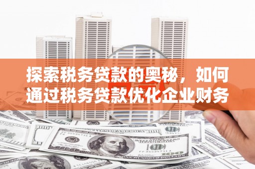 德保探索税务贷款的奥秘，如何通过税务贷款优化企业财务