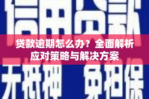 德保贷款逾期怎么办？全面解析应对策略与解决方案