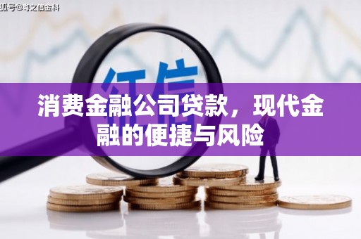 德保消费金融公司贷款，现代金融的便捷与风险
