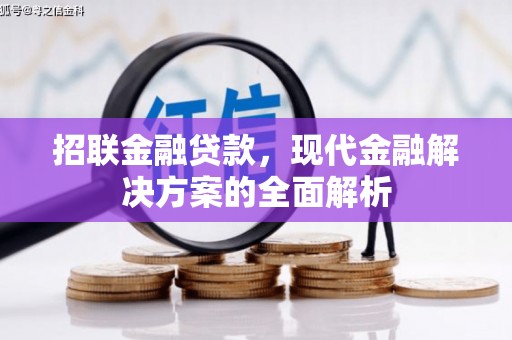 德保招联金融贷款，现代金融解决方案的全面解析