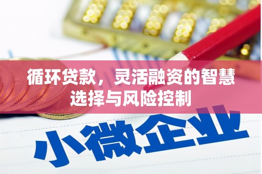 德保循环贷款，灵活融资的智慧选择与风险控制