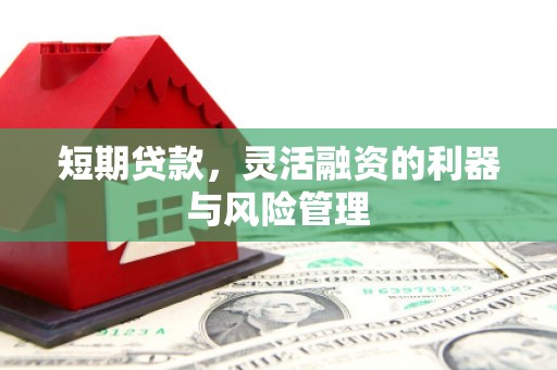 德保短期贷款，灵活融资的利器与风险管理