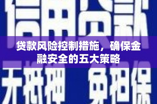 德保贷款风险控制措施，确保金融安全的五大策略