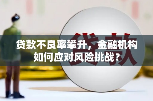 德保贷款不良率攀升，金融机构如何应对风险挑战？