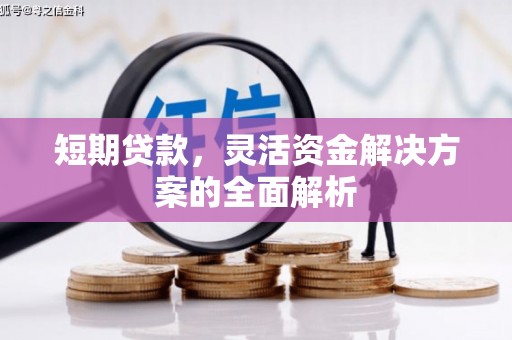 德保短期贷款，灵活资金解决方案的全面解析
