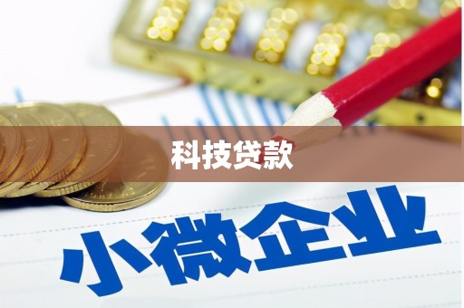 德保科技贷款