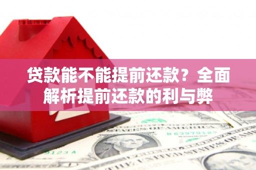 德保贷款能不能提前还款？全面解析提前还款的利与弊