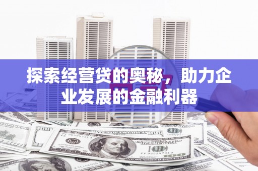 德保探索经营贷的奥秘，助力企业发展的金融利器