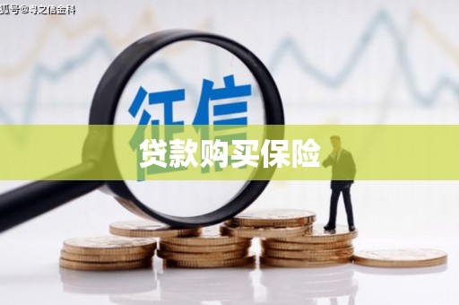 德保贷款购买保险