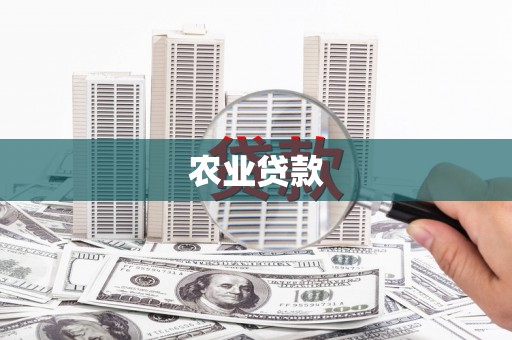 德保农业贷款