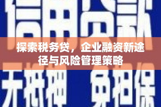 德保探索税务贷，企业融资新途径与风险管理策略