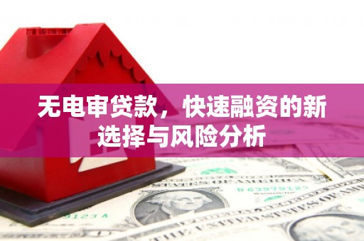德保无电审贷款，快速融资的新选择与风险分析